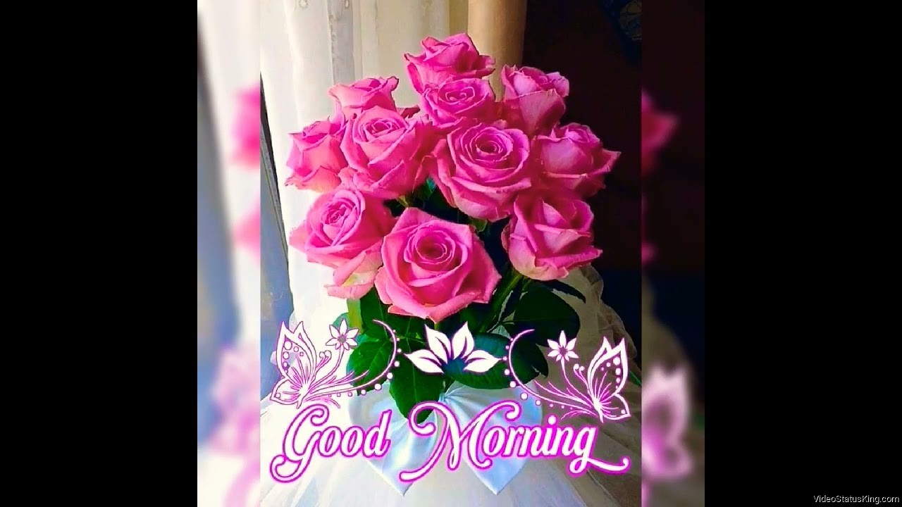 Cute Good Morning Flowers Status Video