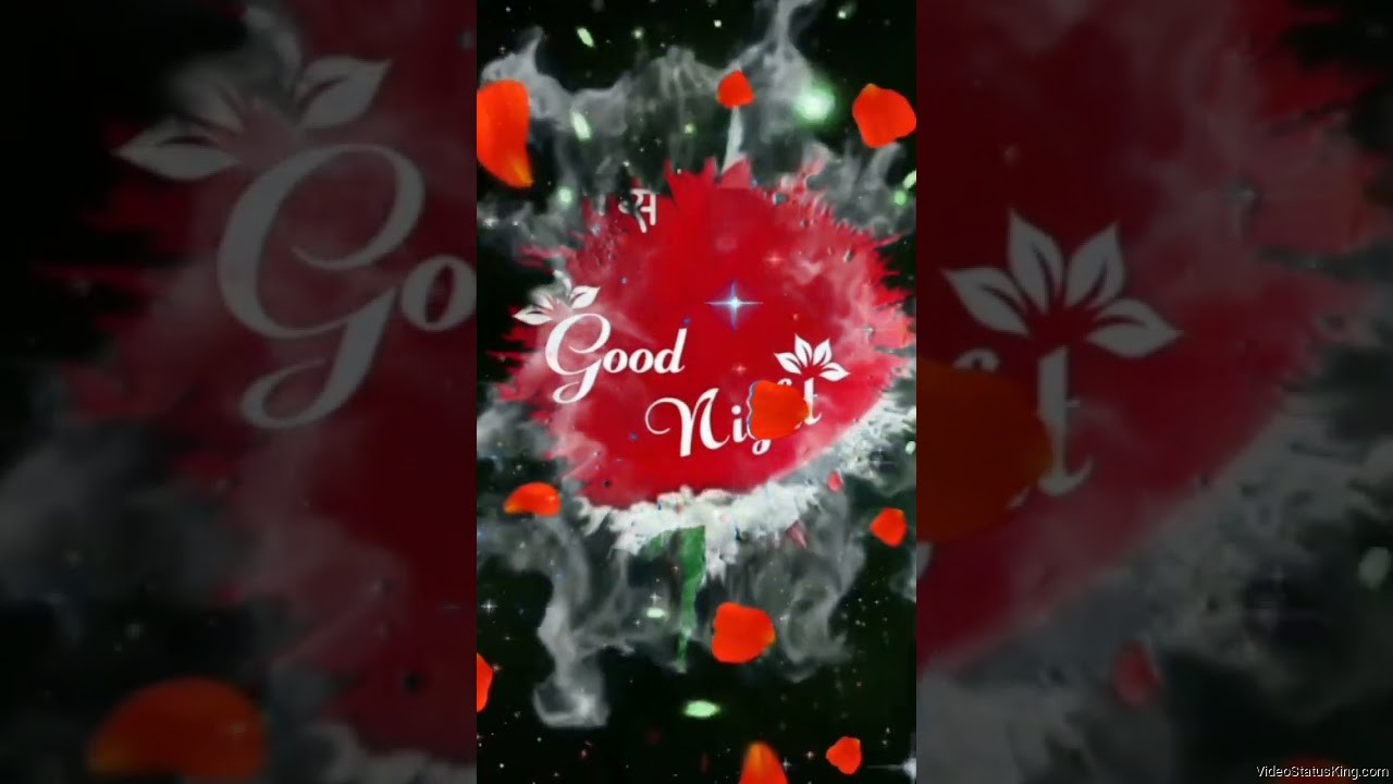 Dil Se Good Night Rose Flower Full Screen Status Video