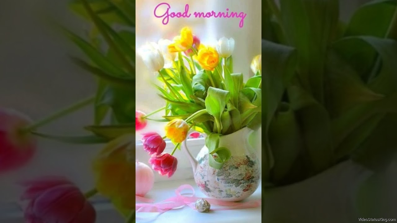 Good Morning Flowers Full Screen Status Video