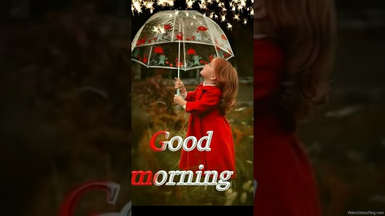 Good Morning Flowers Status Video Download
