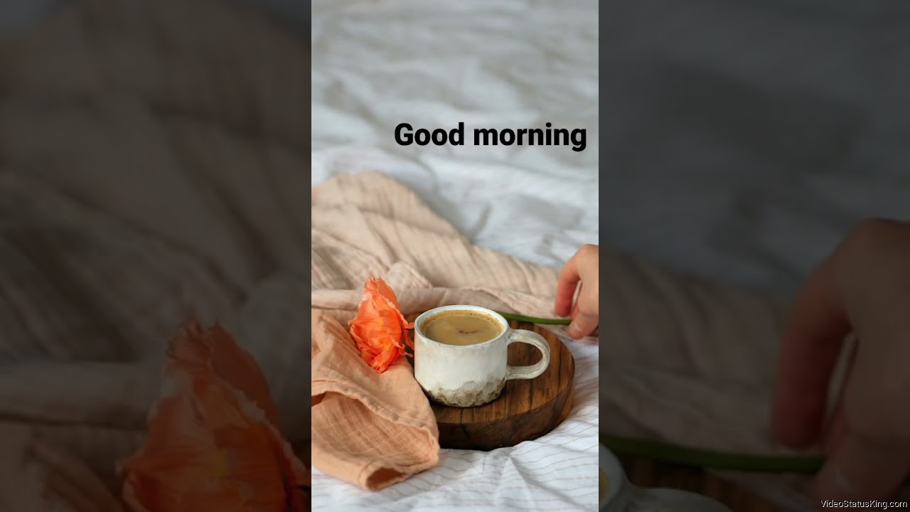 Good Morning Tea Flower Full Screen Status Video