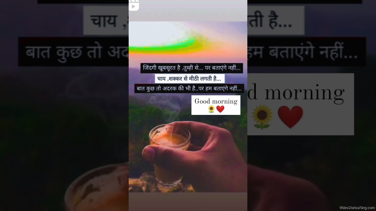 Good Morning Tea Shayari Status Video