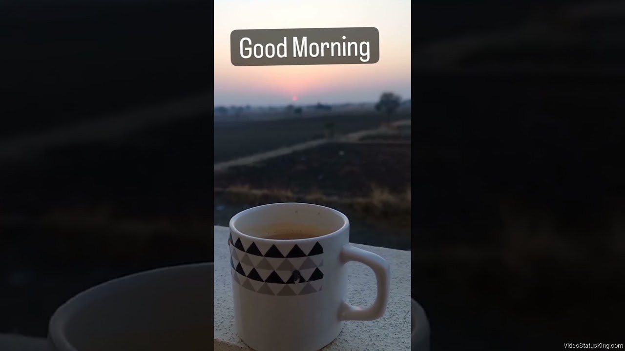 Good Morning Tea Status Video