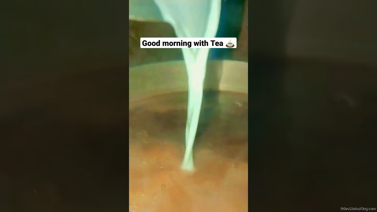 Good Morning With Tea Status Video