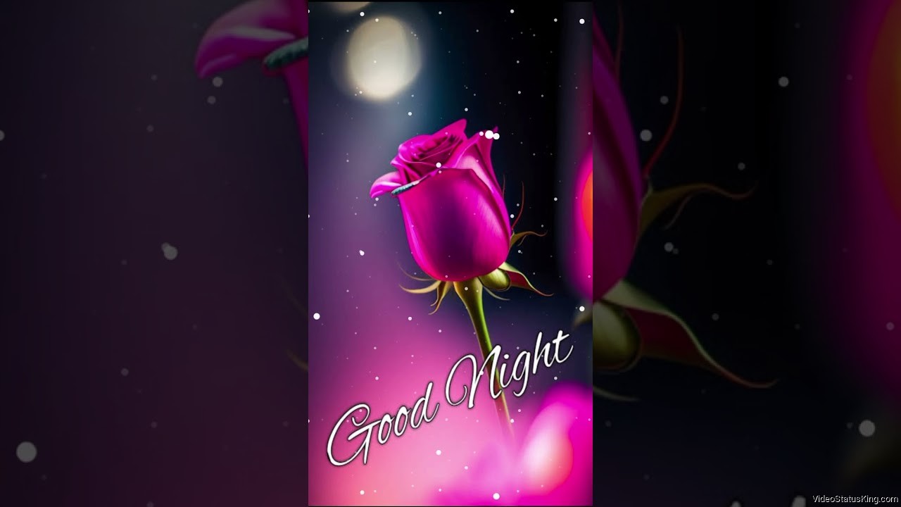 Mera Chand Mujhe Aaya Hai Nazar Good Night Status Video