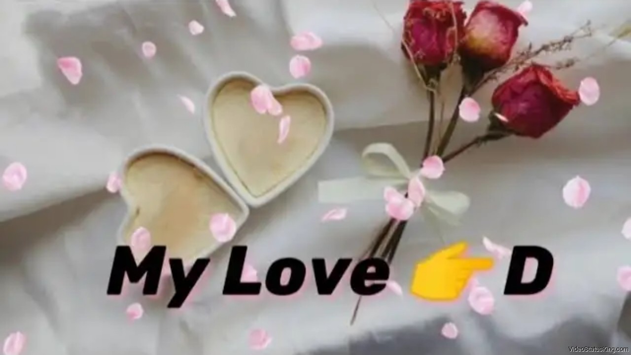 My Love D Letter Status Video