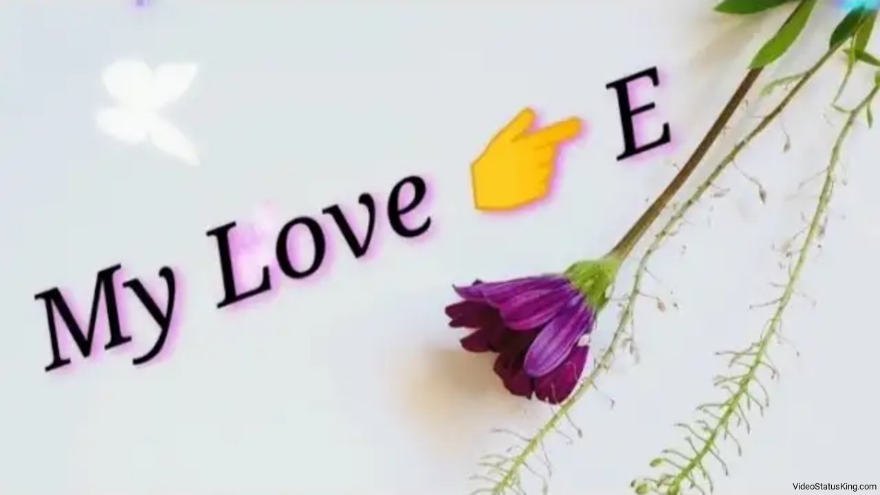 My Love E My Life E Name Status Video