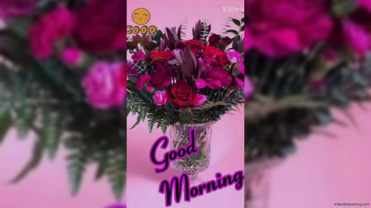 New Good Morning Flowers Status Video